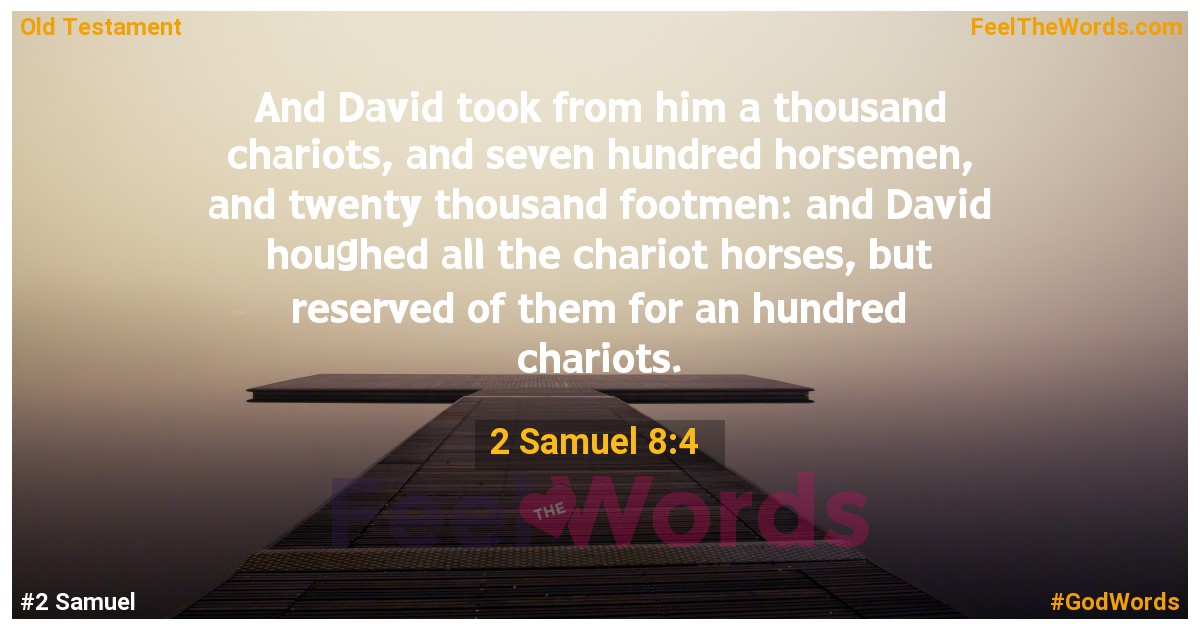 2 Samuel 8:4