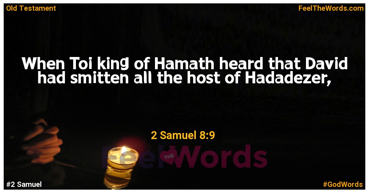 2 Samuel 8:9