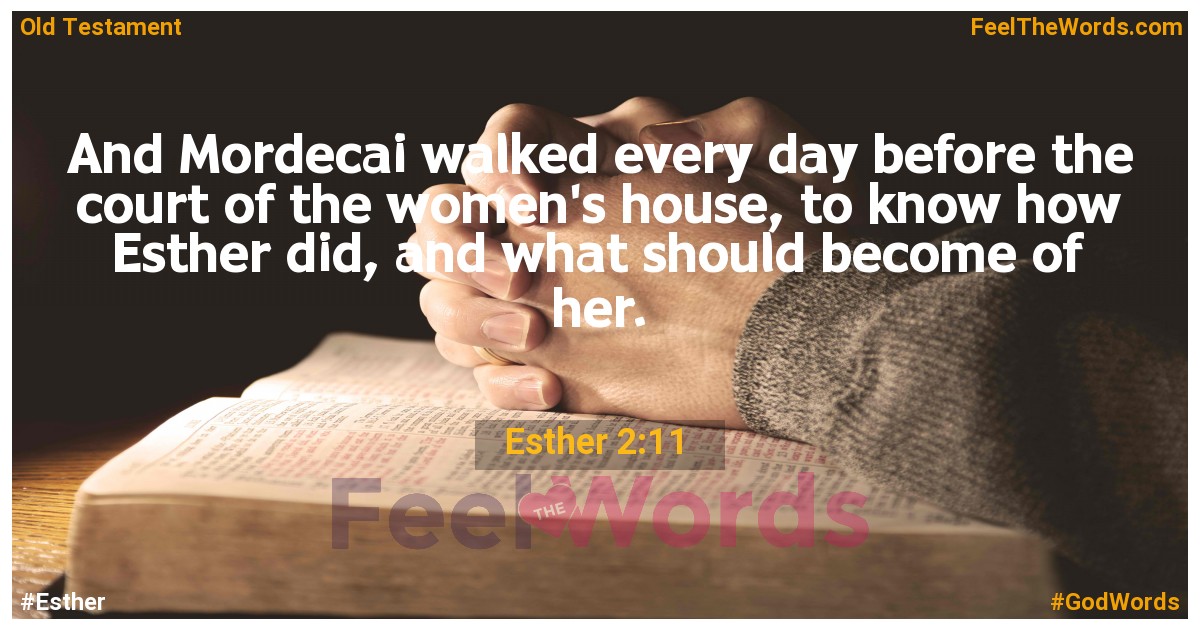 Esther 2:11
