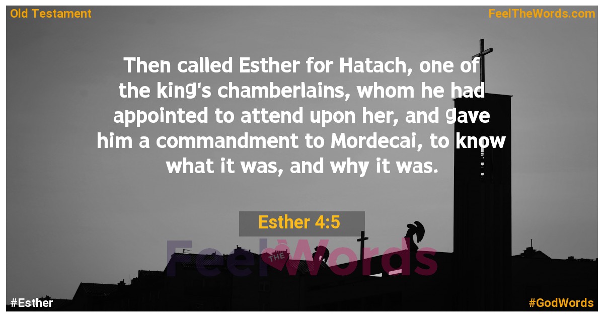 Esther 4:5