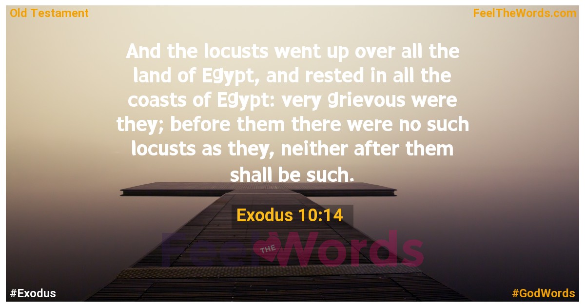 Exodus 10:14