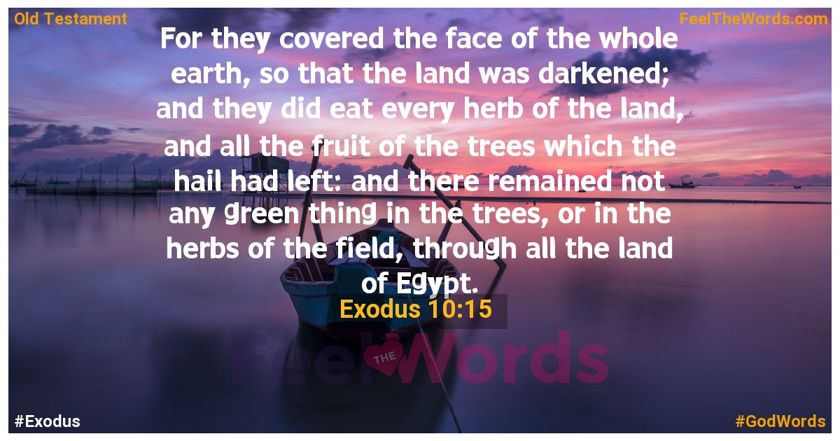Exodus 10:15