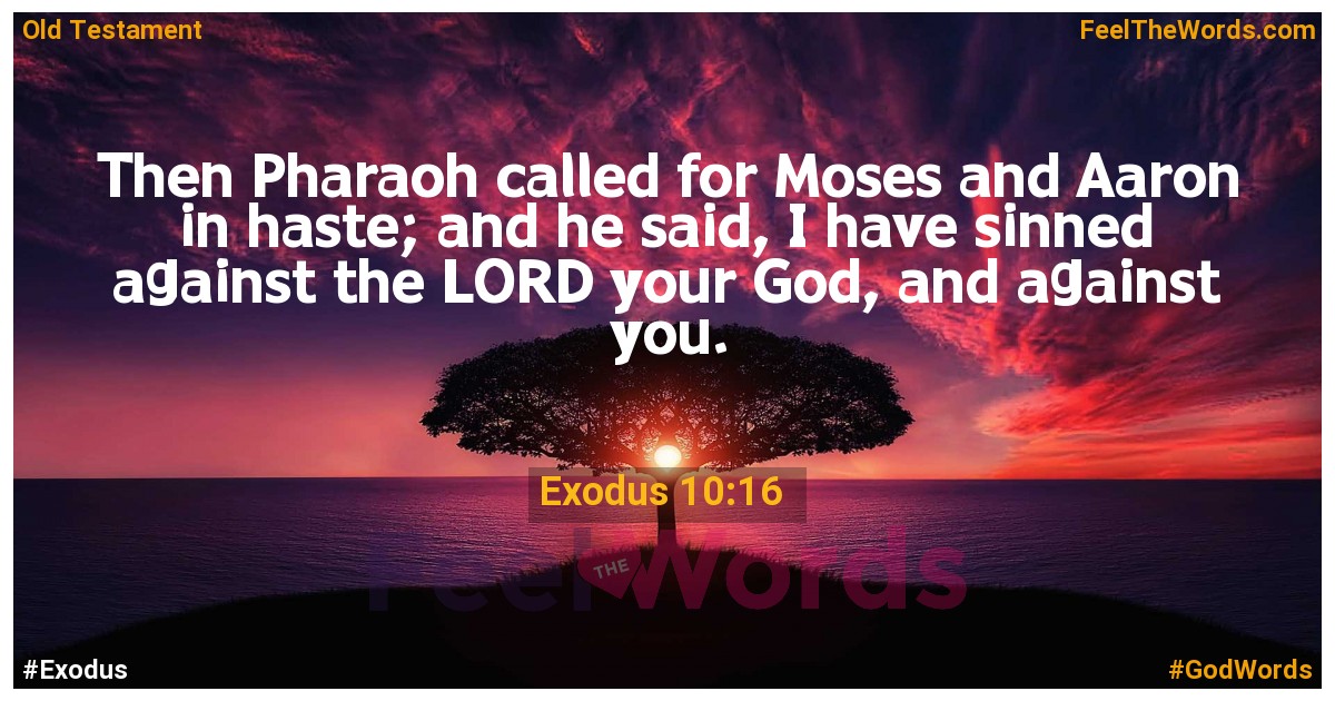Exodus 10:16