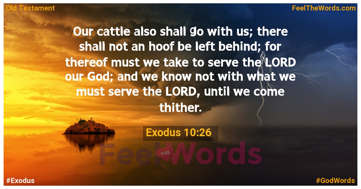 Exodus 10:26