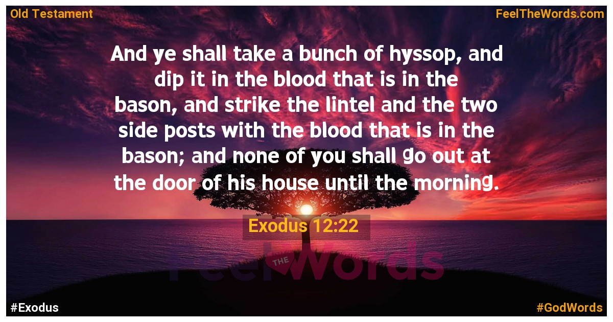 Exodus 12:22