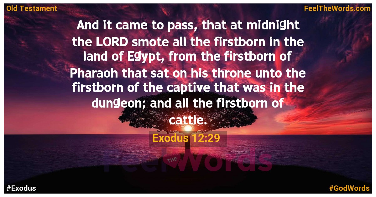 Exodus 12:29