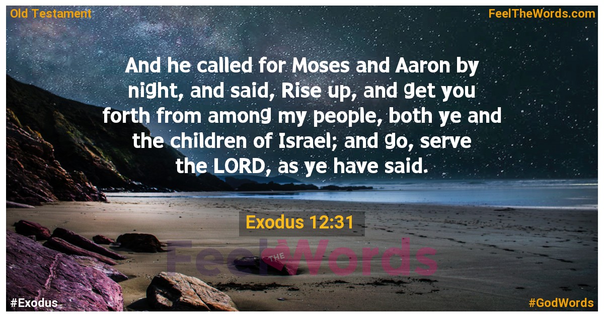 Exodus 12:31
