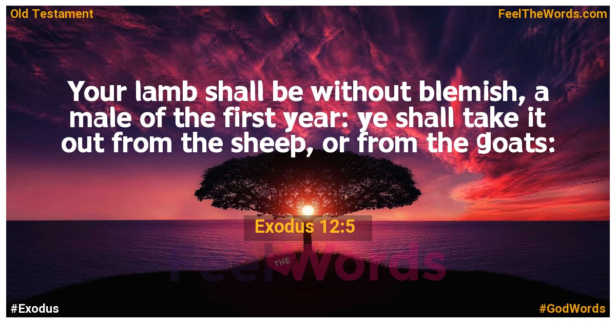 Exodus 12:5