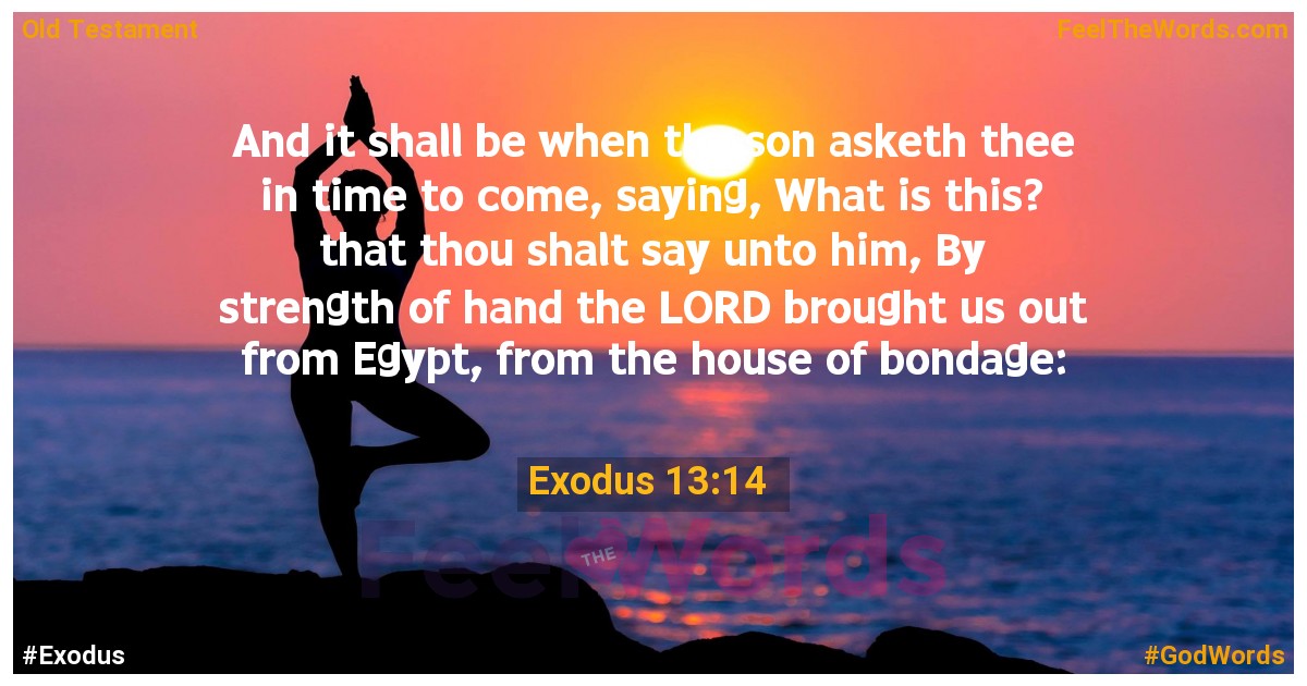 Exodus 13:14