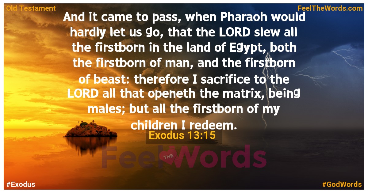 Exodus 13:15