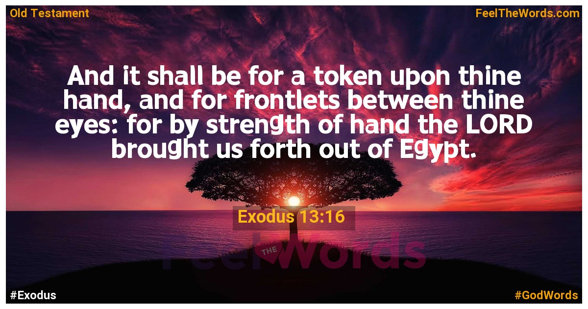 Exodus 13:16