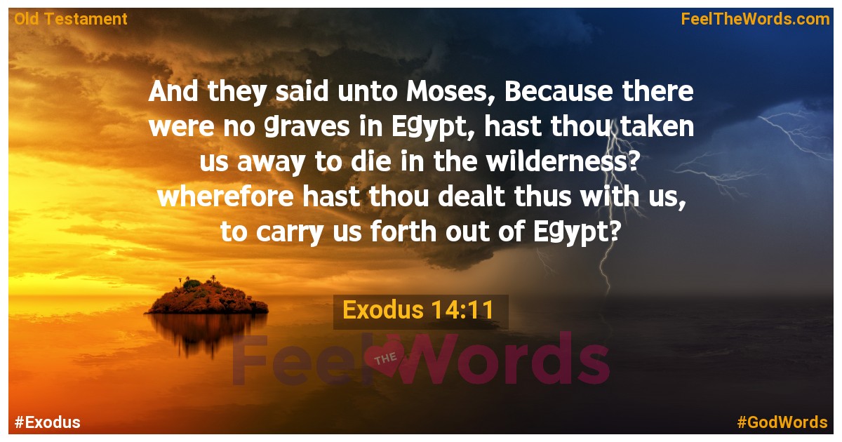 Exodus 14:11
