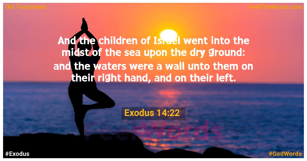 Exodus 14:22