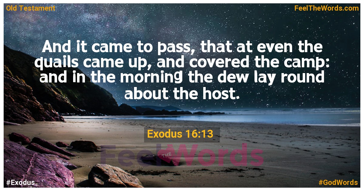 Exodus 16:13