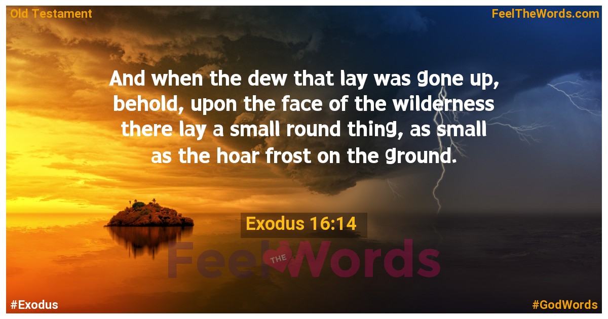 Exodus 16:14