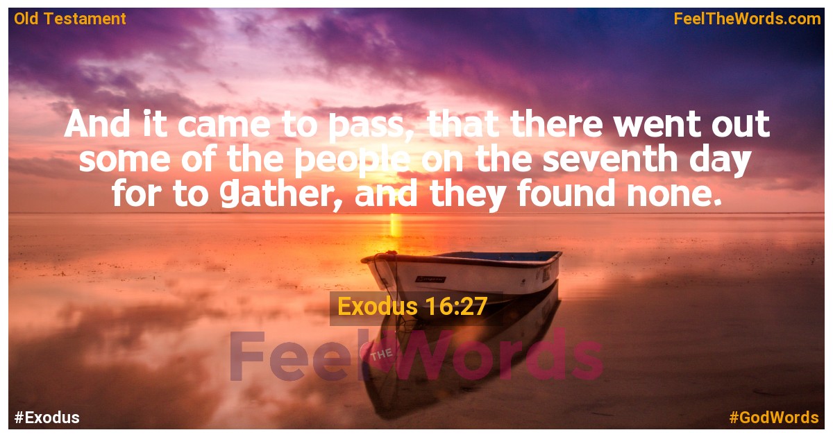 Exodus 16:27
