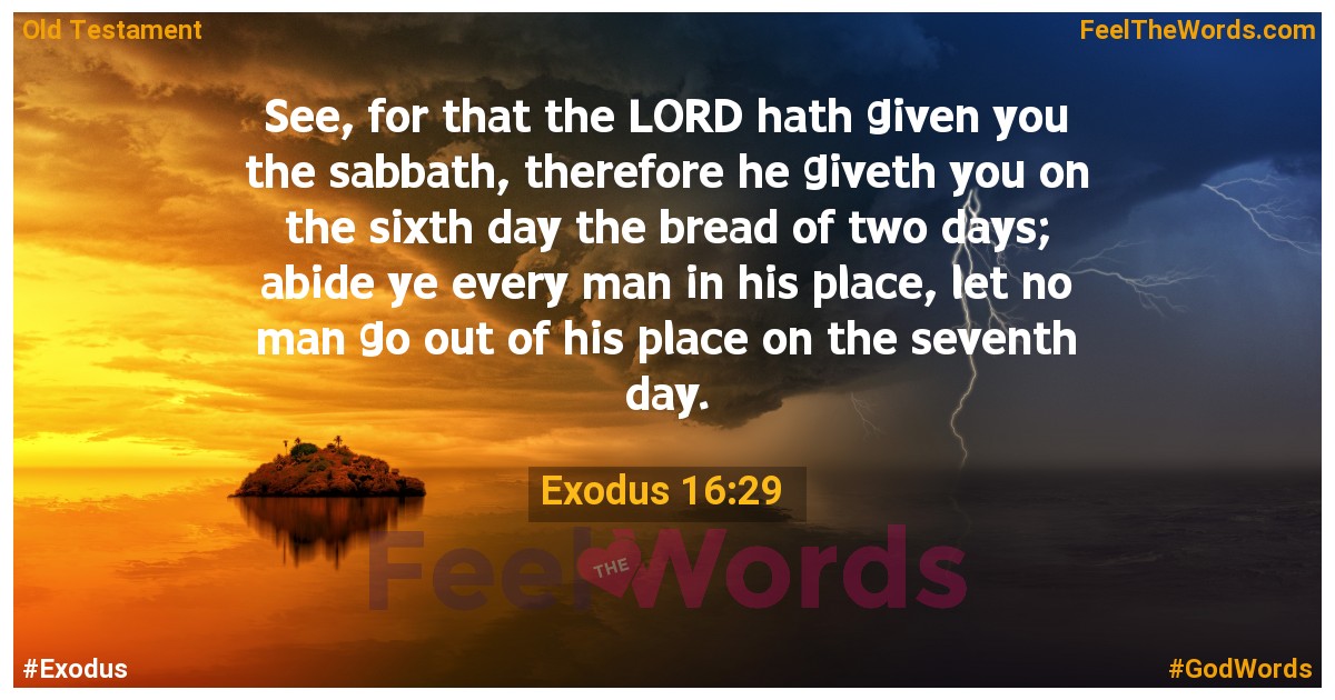 Exodus 16:29