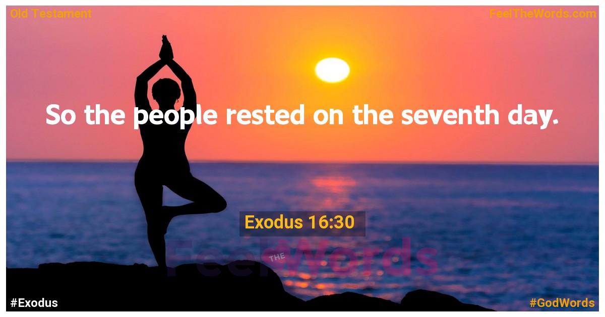 Exodus 16:30