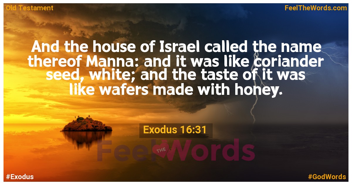 Exodus 16:31