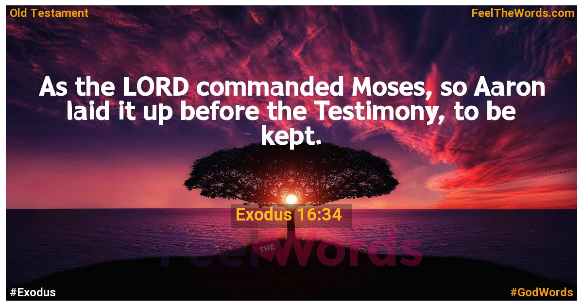 Exodus 16:34
