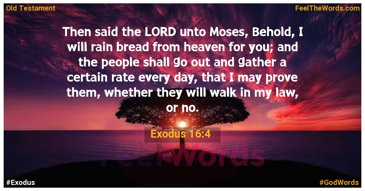 Exodus 16:4