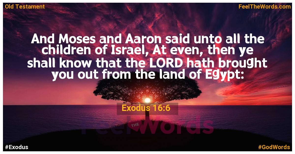 Exodus 16:6