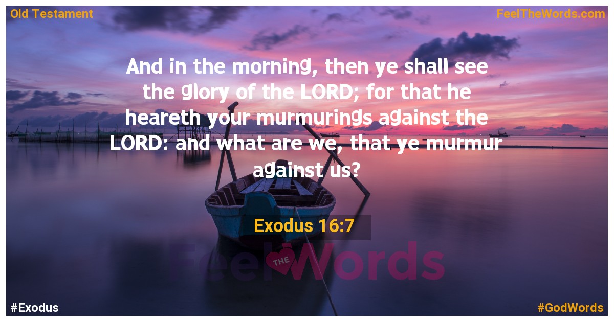 Exodus 16:7
