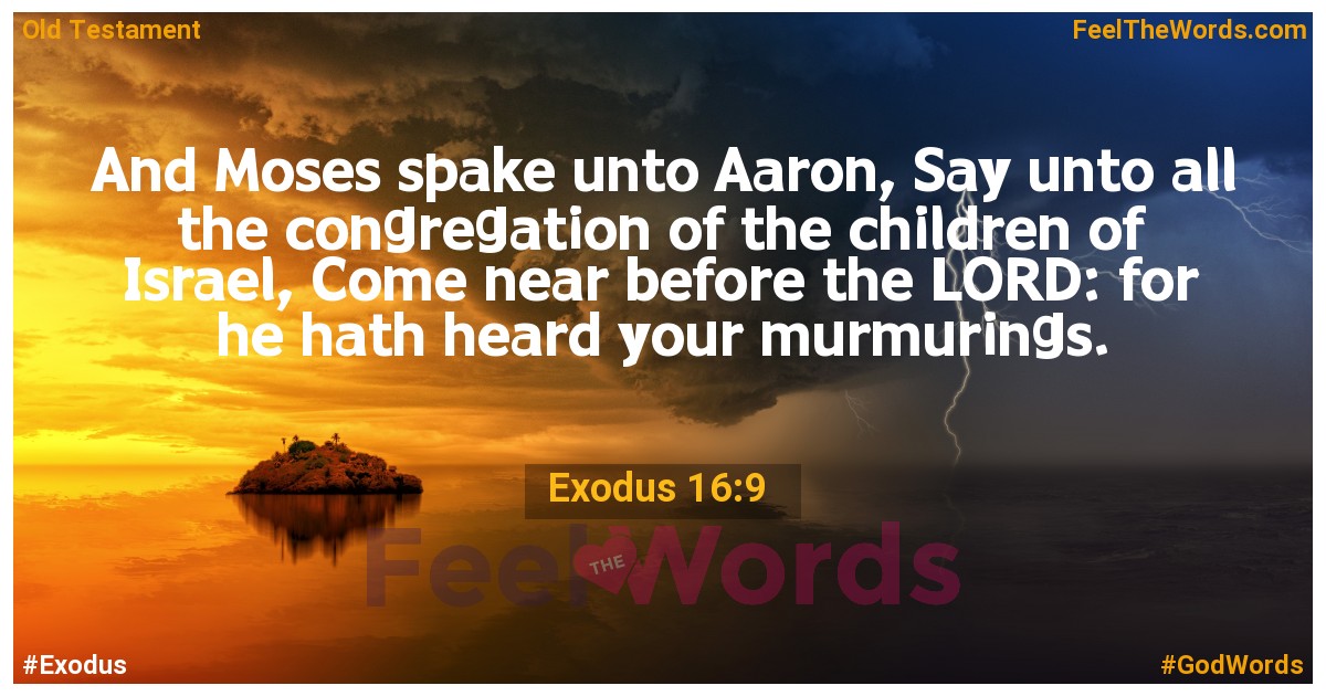 Exodus 16:9