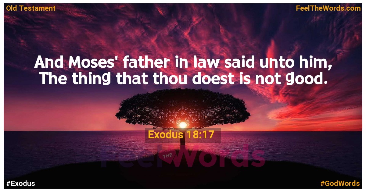 Exodus 18:17