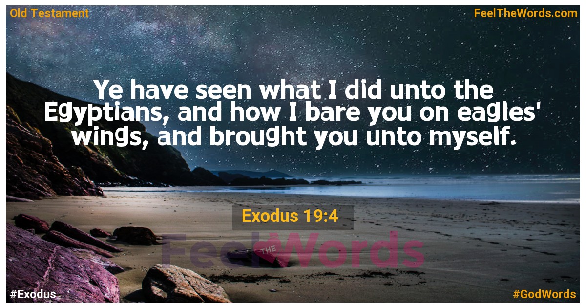 Exodus 19:4