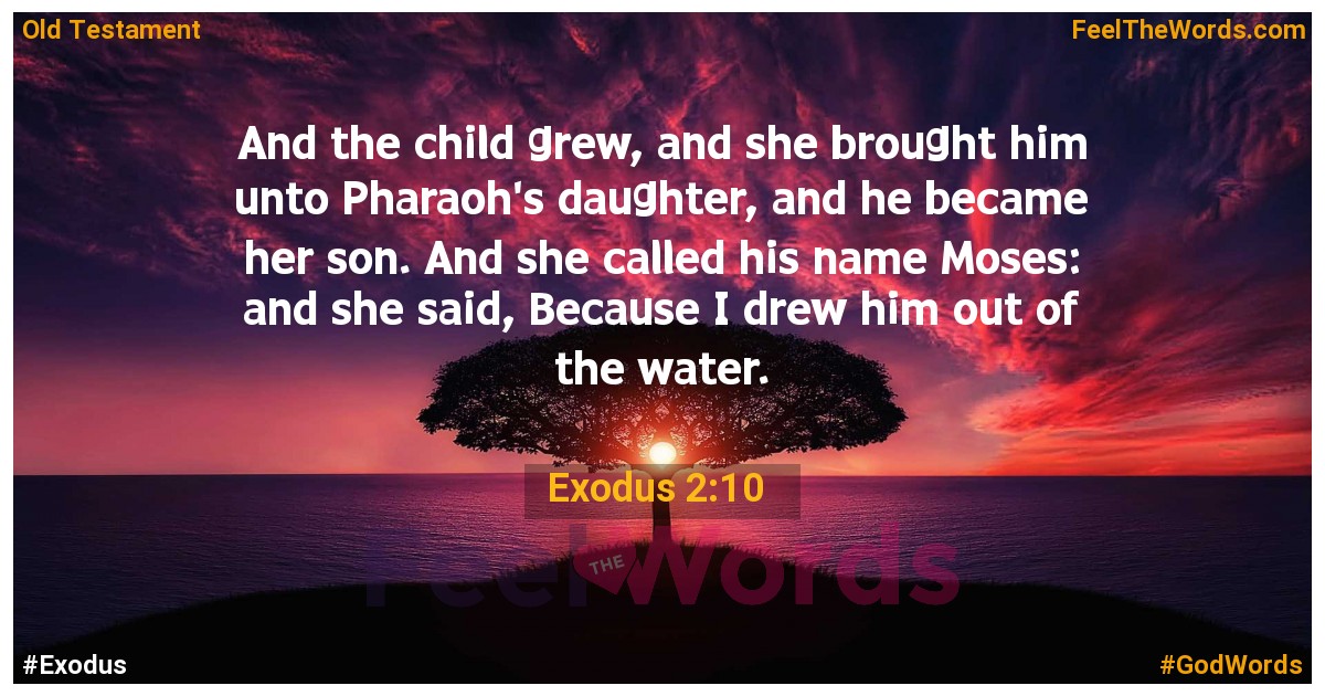 Exodus 2:10