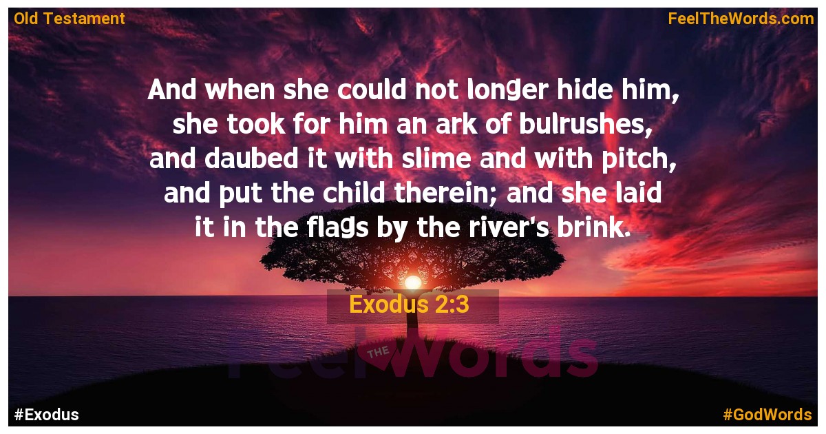 Exodus 2:3