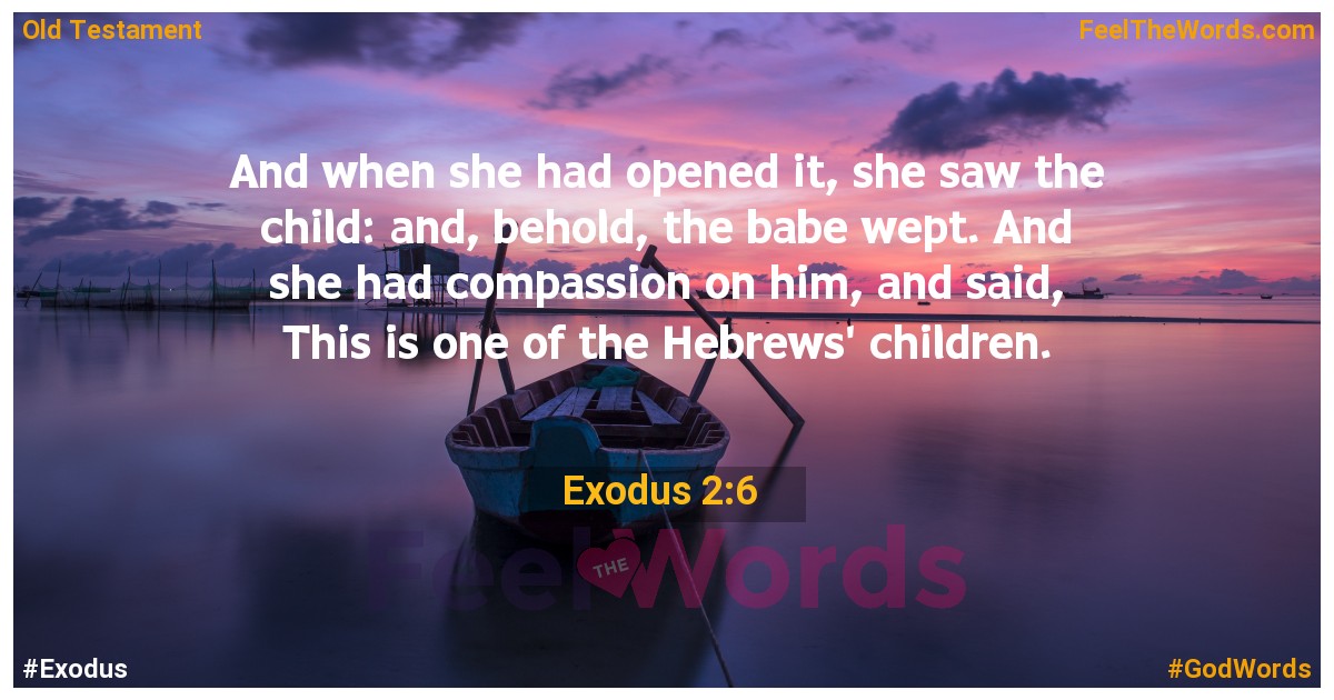 Exodus 2:6