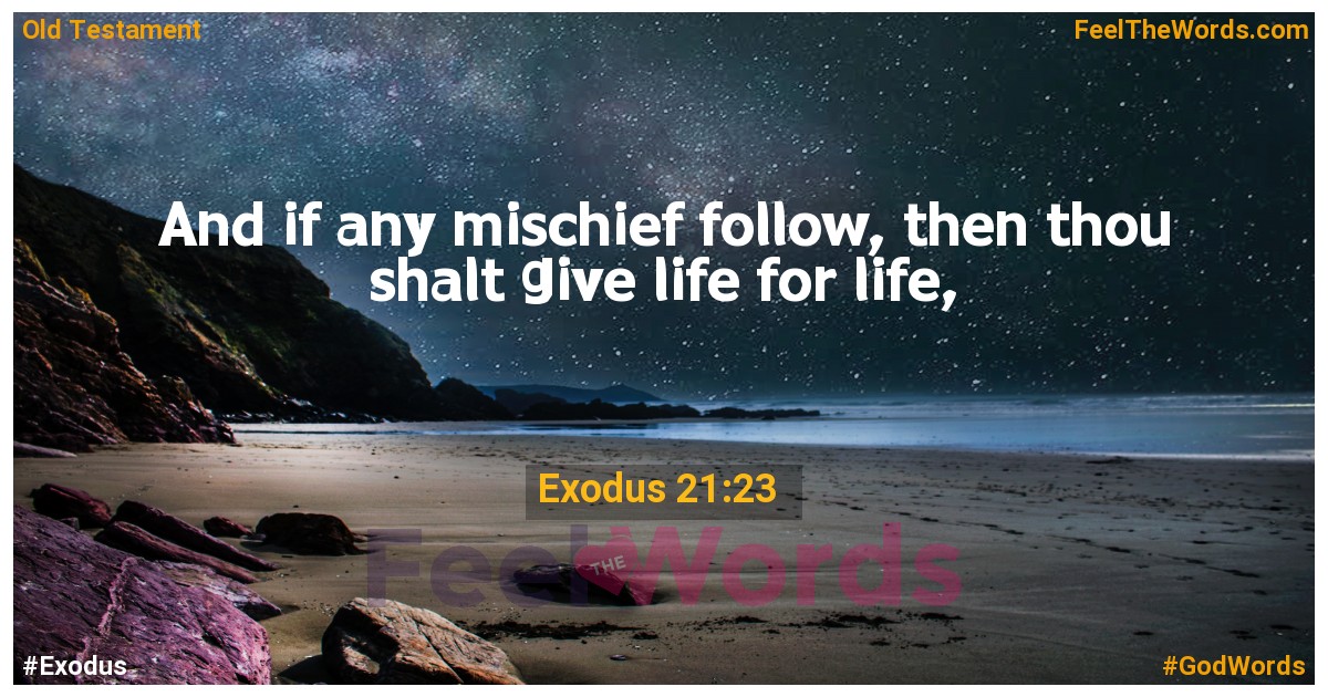 Exodus 21:23