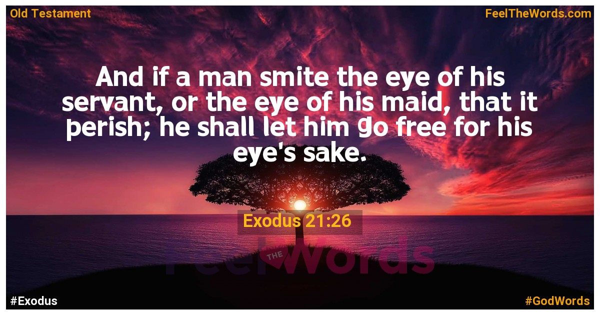 Exodus 21:26