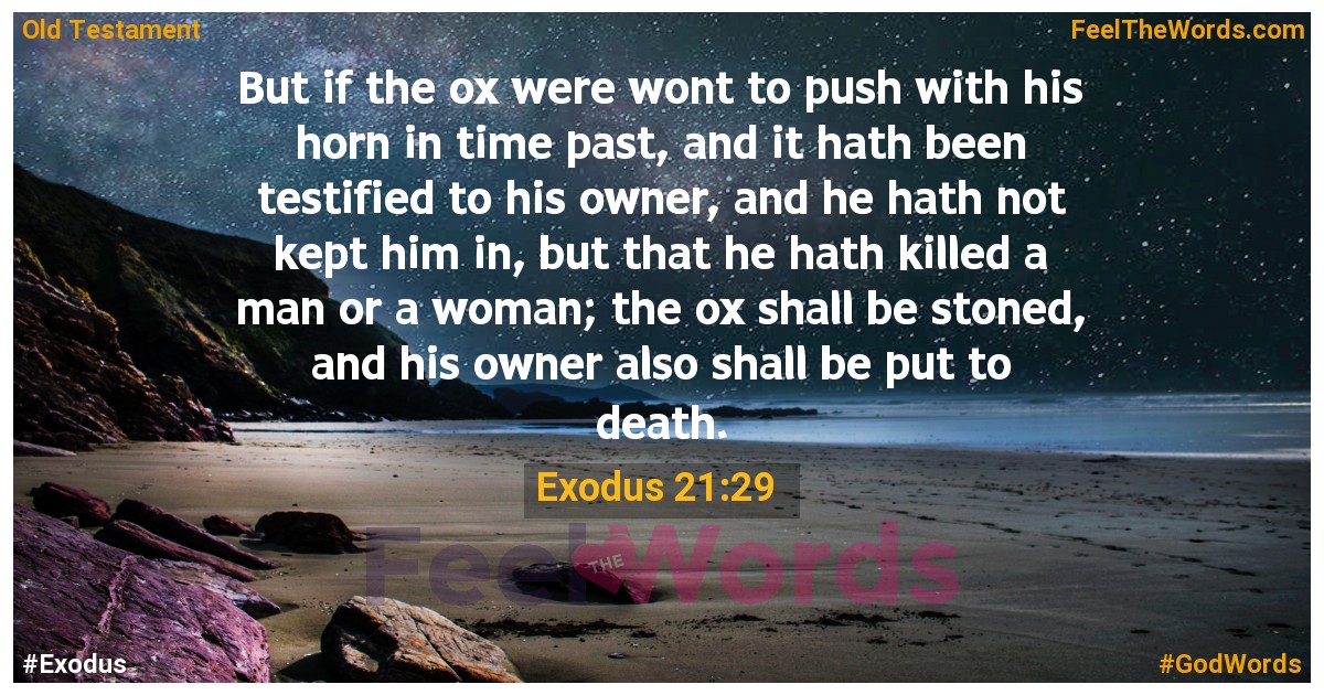 Exodus 21:29