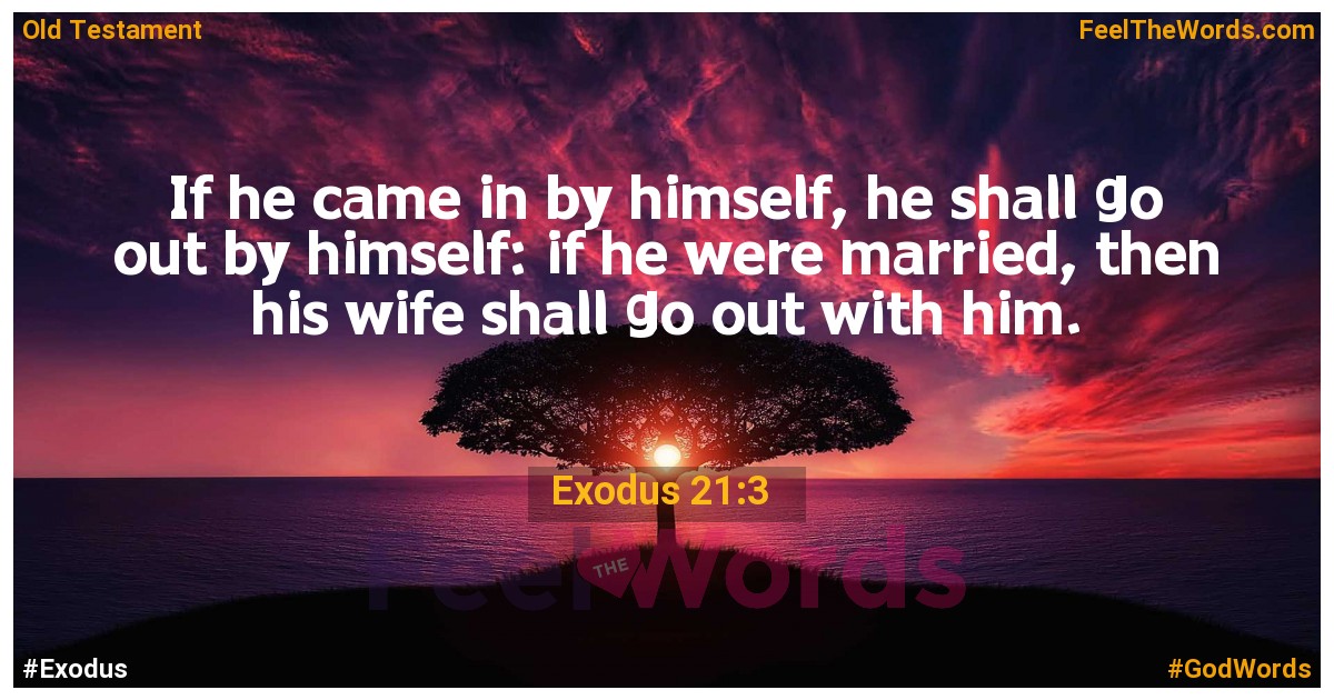 Exodus 21:3