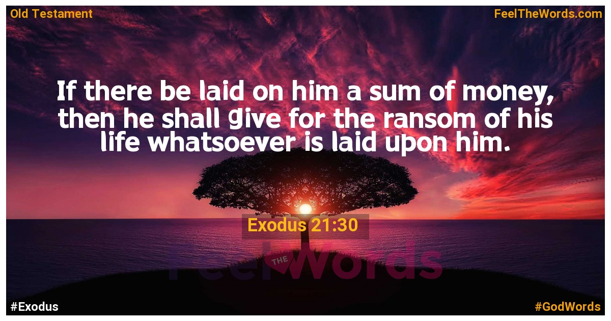 Exodus 21:30