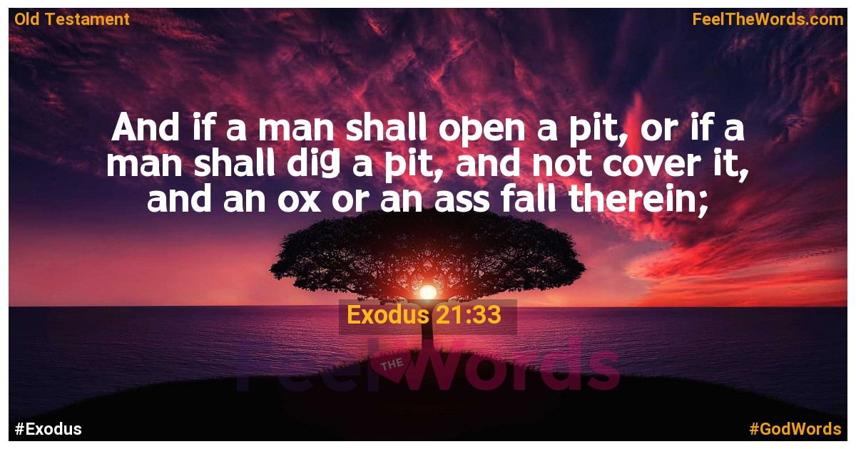 Exodus 21:33