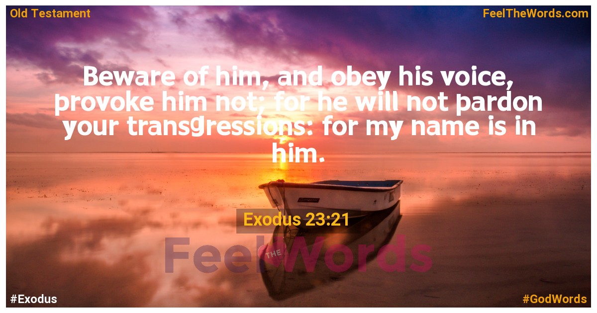 Exodus 23:21