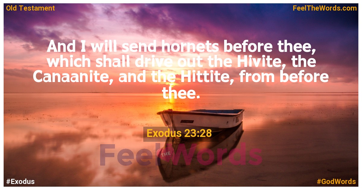 Exodus 23:28