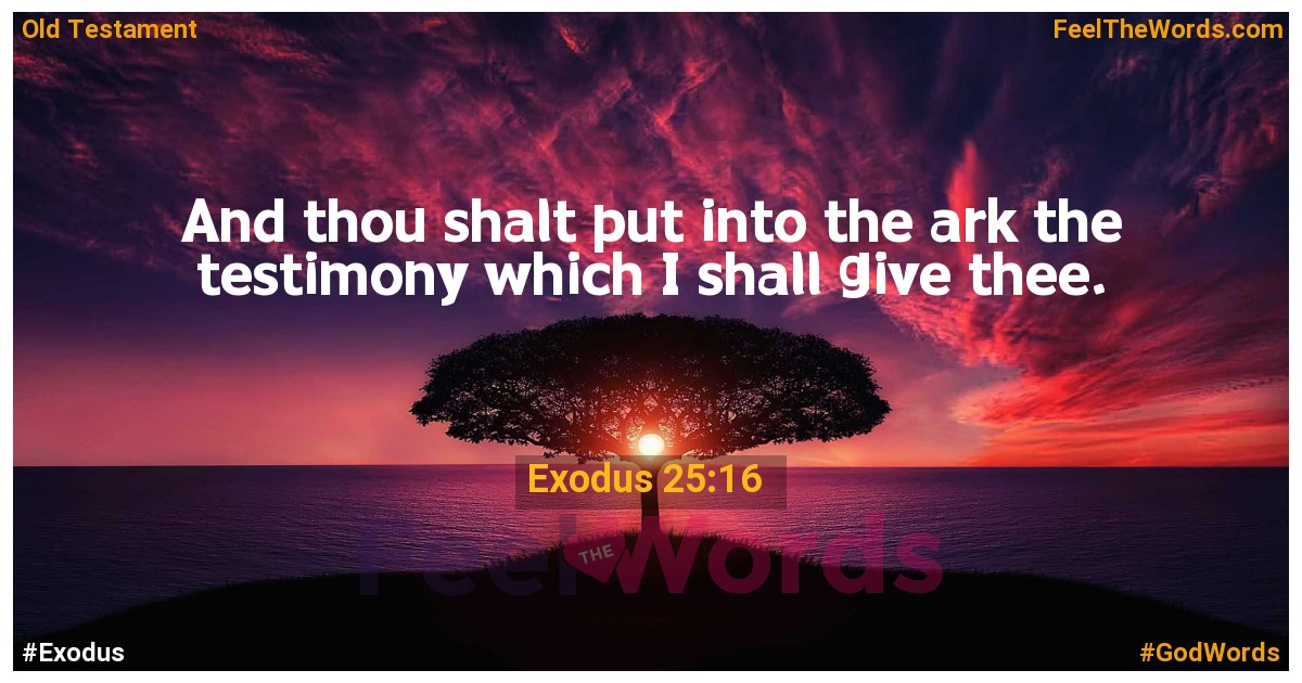 Exodus 25:16