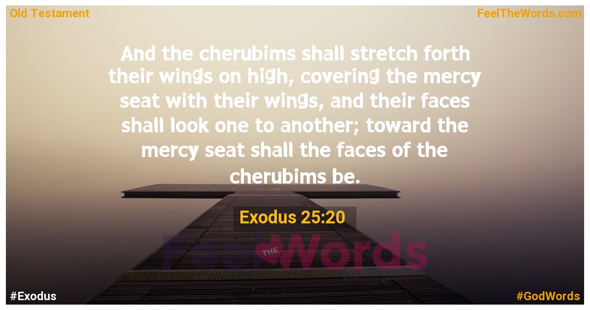 Exodus 25:20