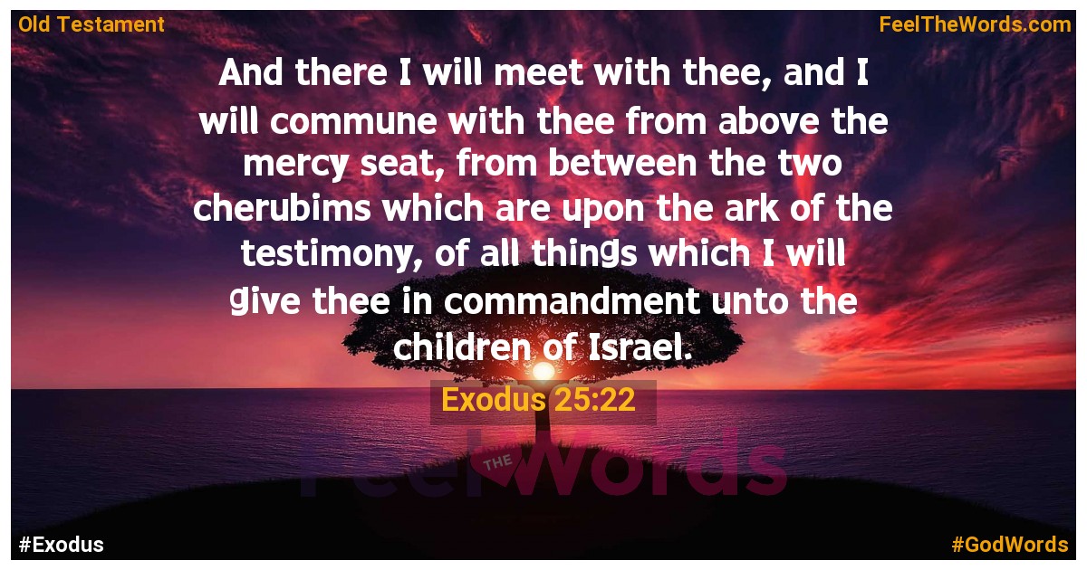 Exodus 25:22