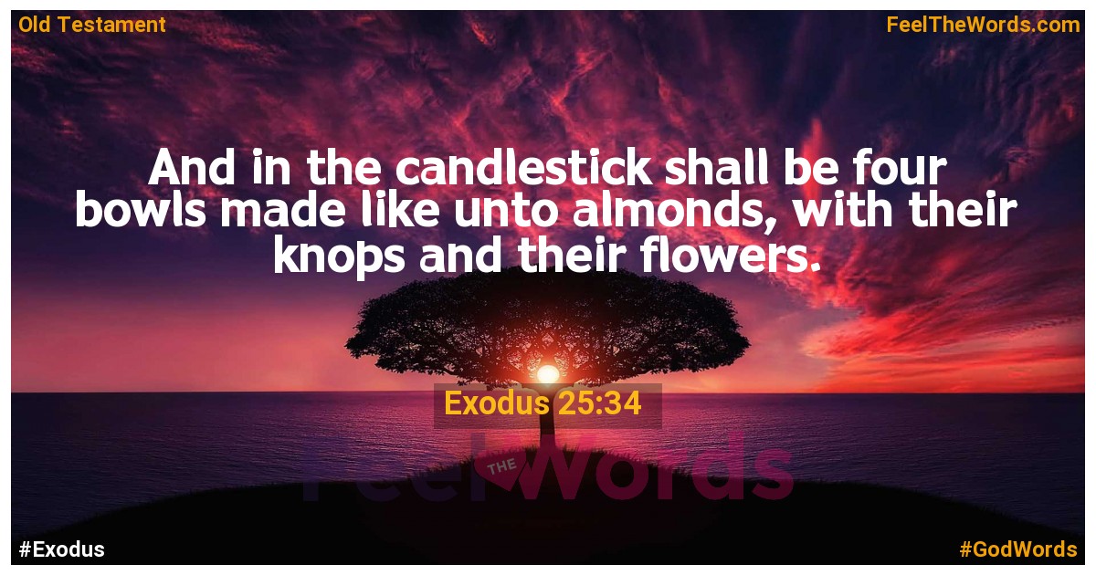 Exodus 25:34