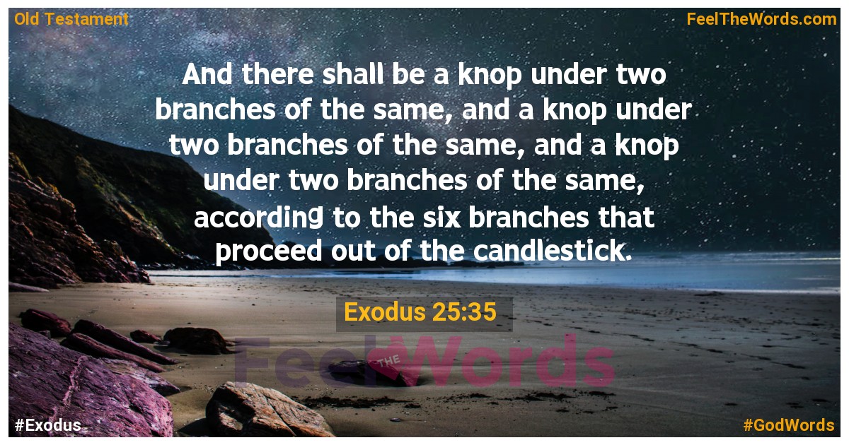 Exodus 25:35