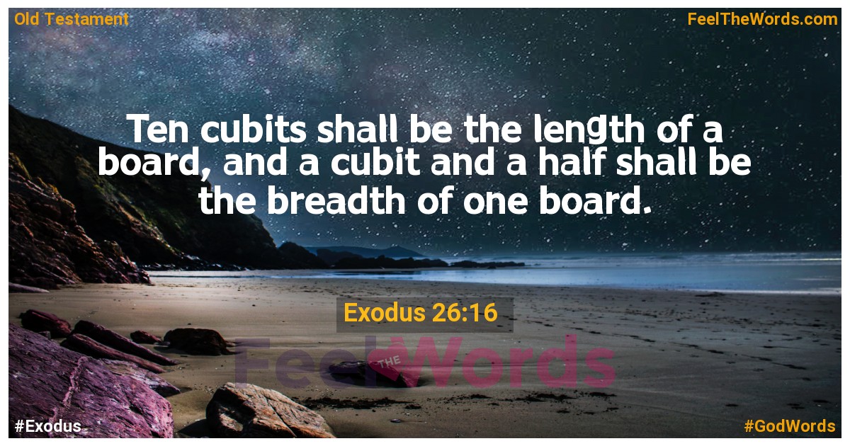 Exodus 26:16