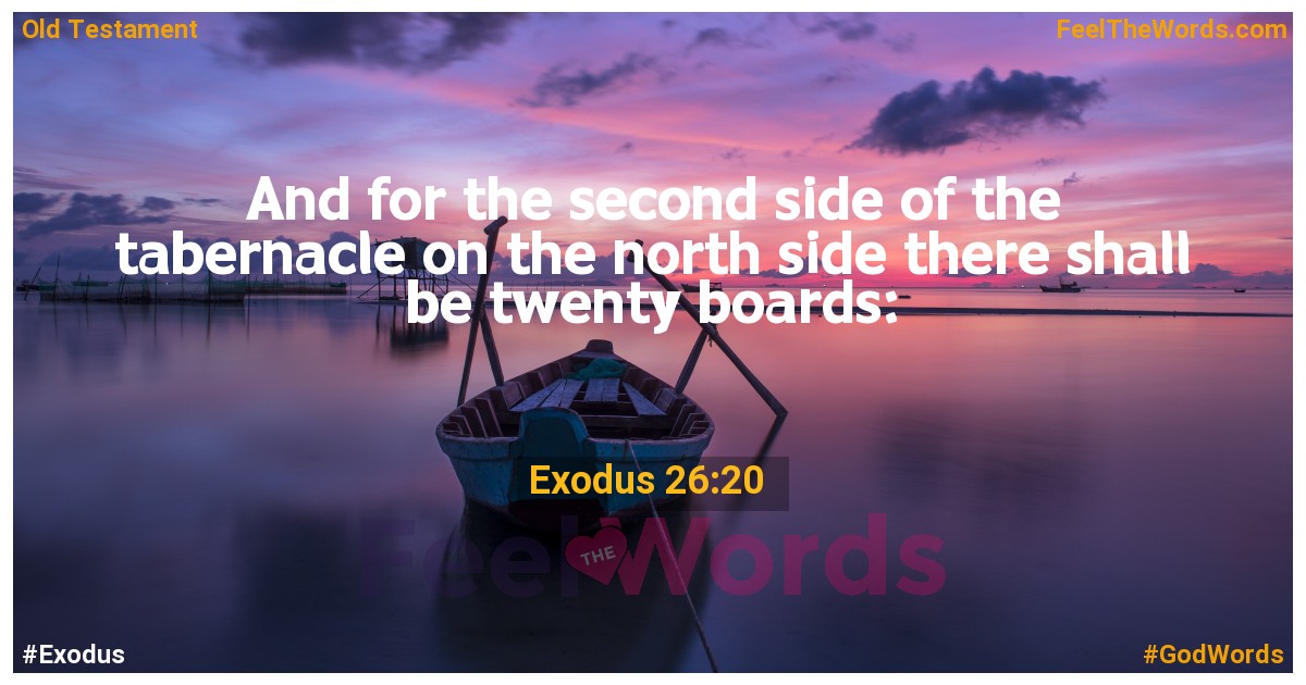 Exodus 26:20