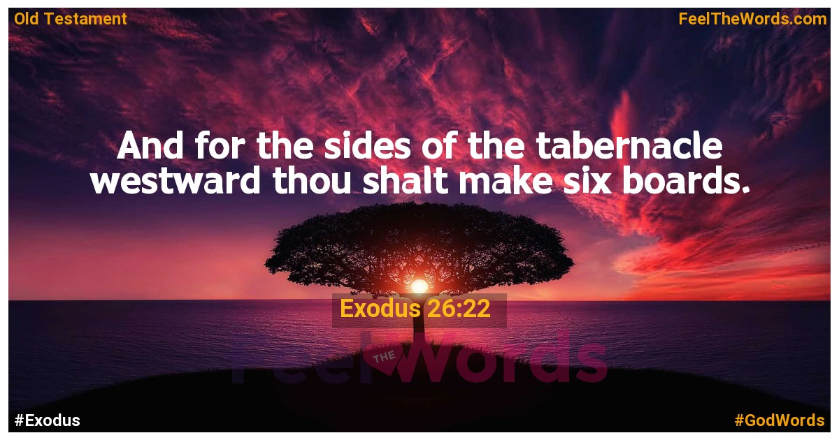 Exodus 26:22