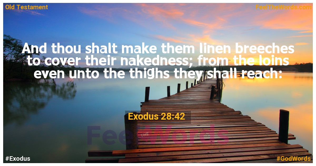 Exodus 28:42